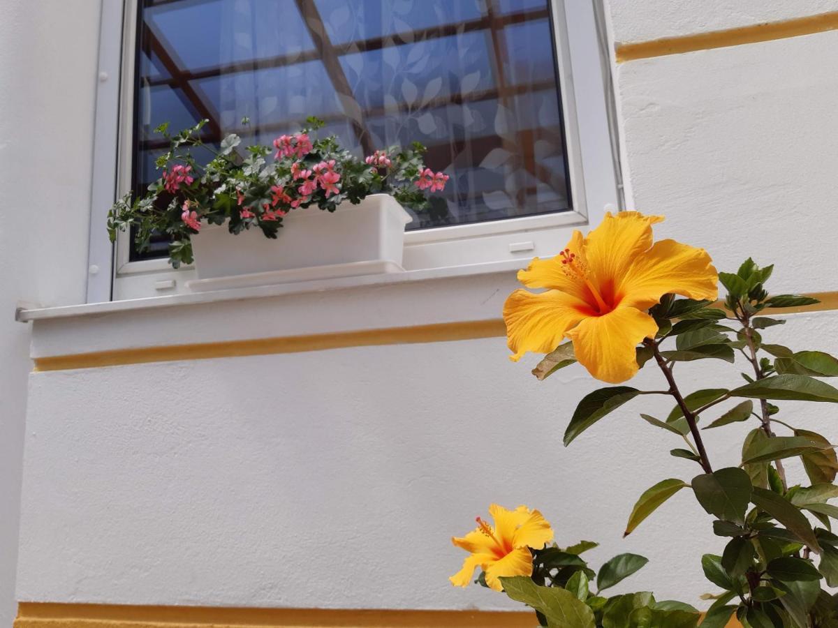 Thermal Garden Mosonmagyaróvár Exteriör bild